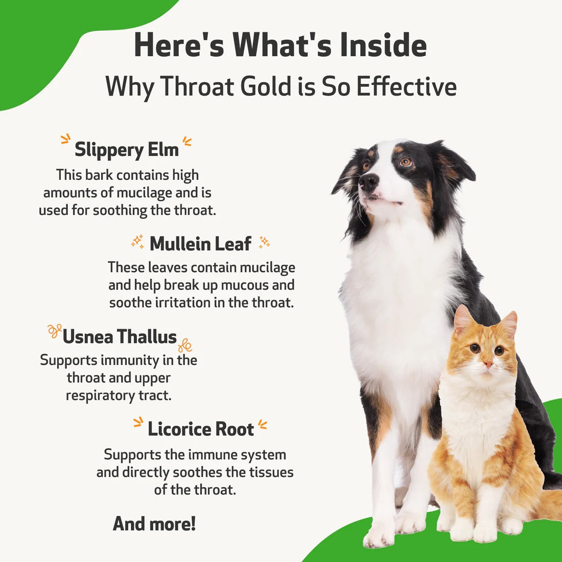 Pet Wellbeing - Throat Gold - Soothes Throat Irritation in Cats & Dogs