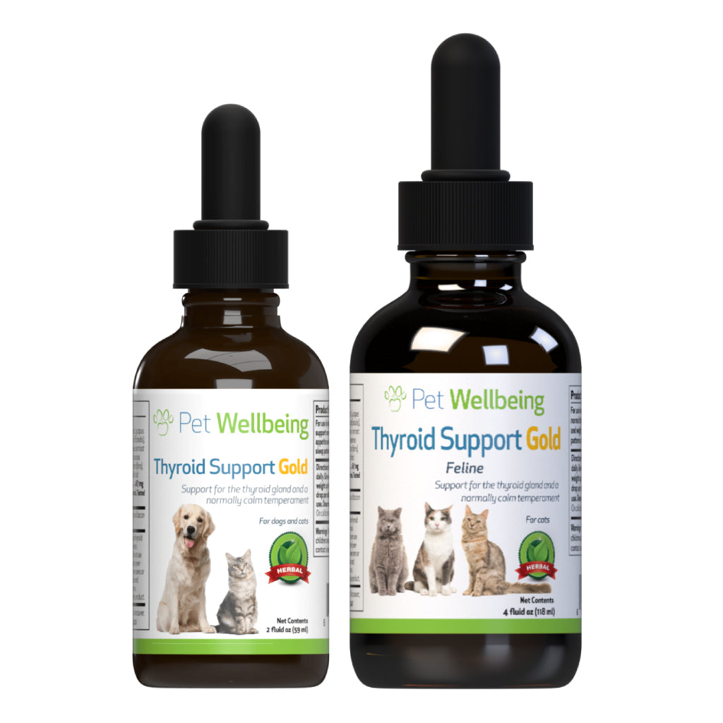 Pet Wellbeing - Thyroid Support Gold for Cats & Dogs - Trusted Care for Hyperthyroid