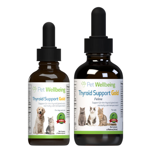 Pet Wellbeing - Thyroid Support Gold for Cats & Dogs - Trusted Care for Hyperthyroid