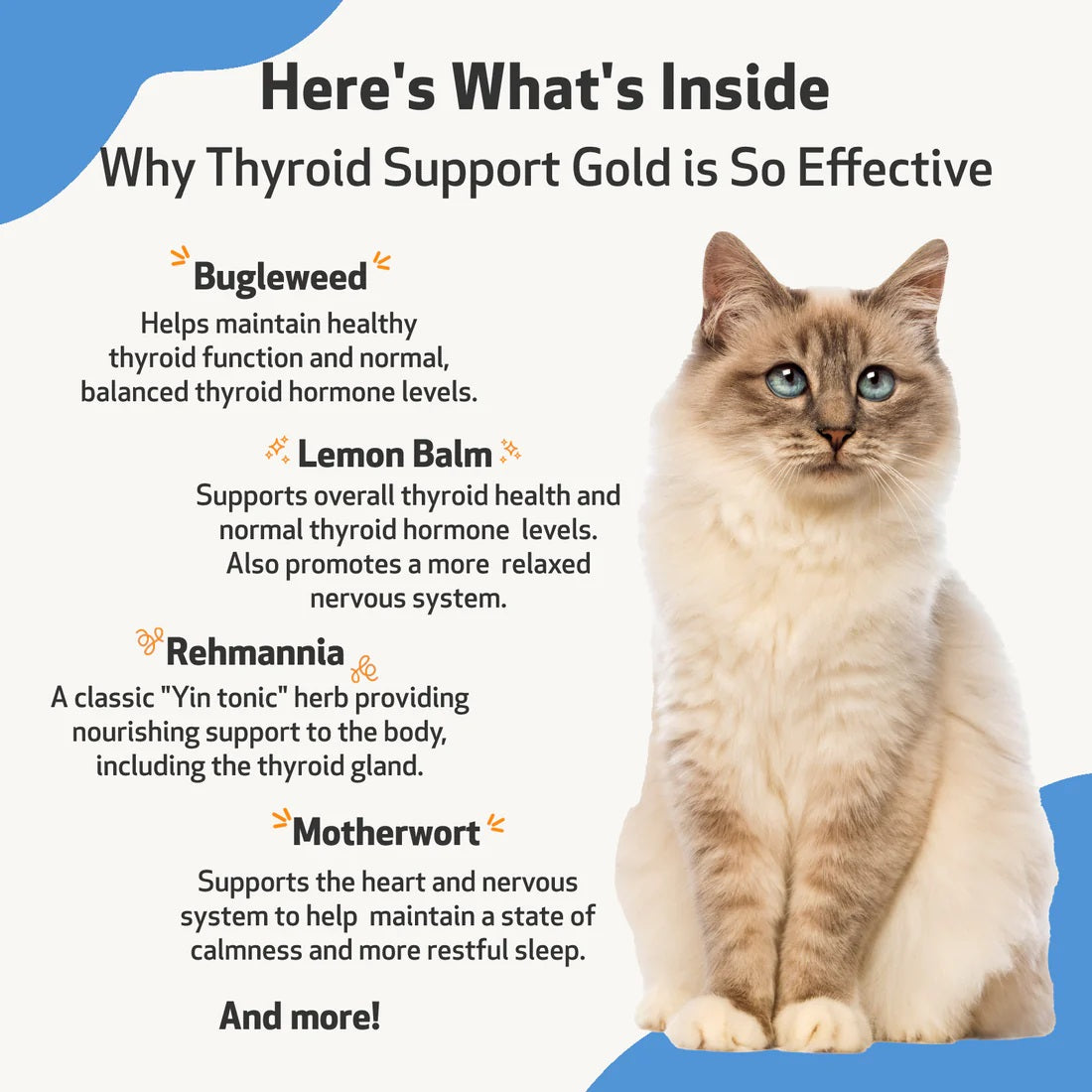 Pet Wellbeing - Thyroid Support Gold for Cats & Dogs - Trusted Care for Hyperthyroid