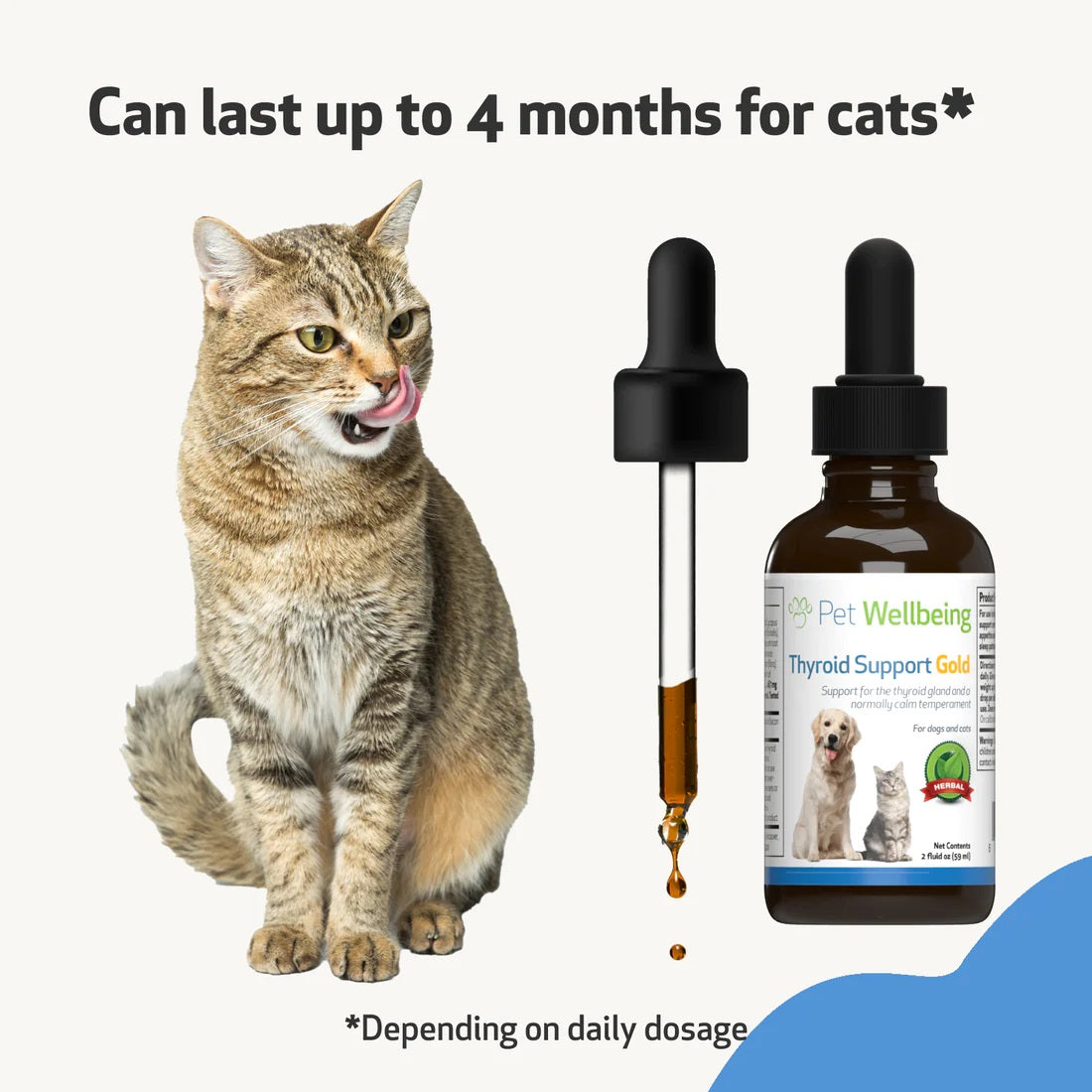 Pet Wellbeing - Thyroid Support Gold for Cats & Dogs - Trusted Care for Hyperthyroid