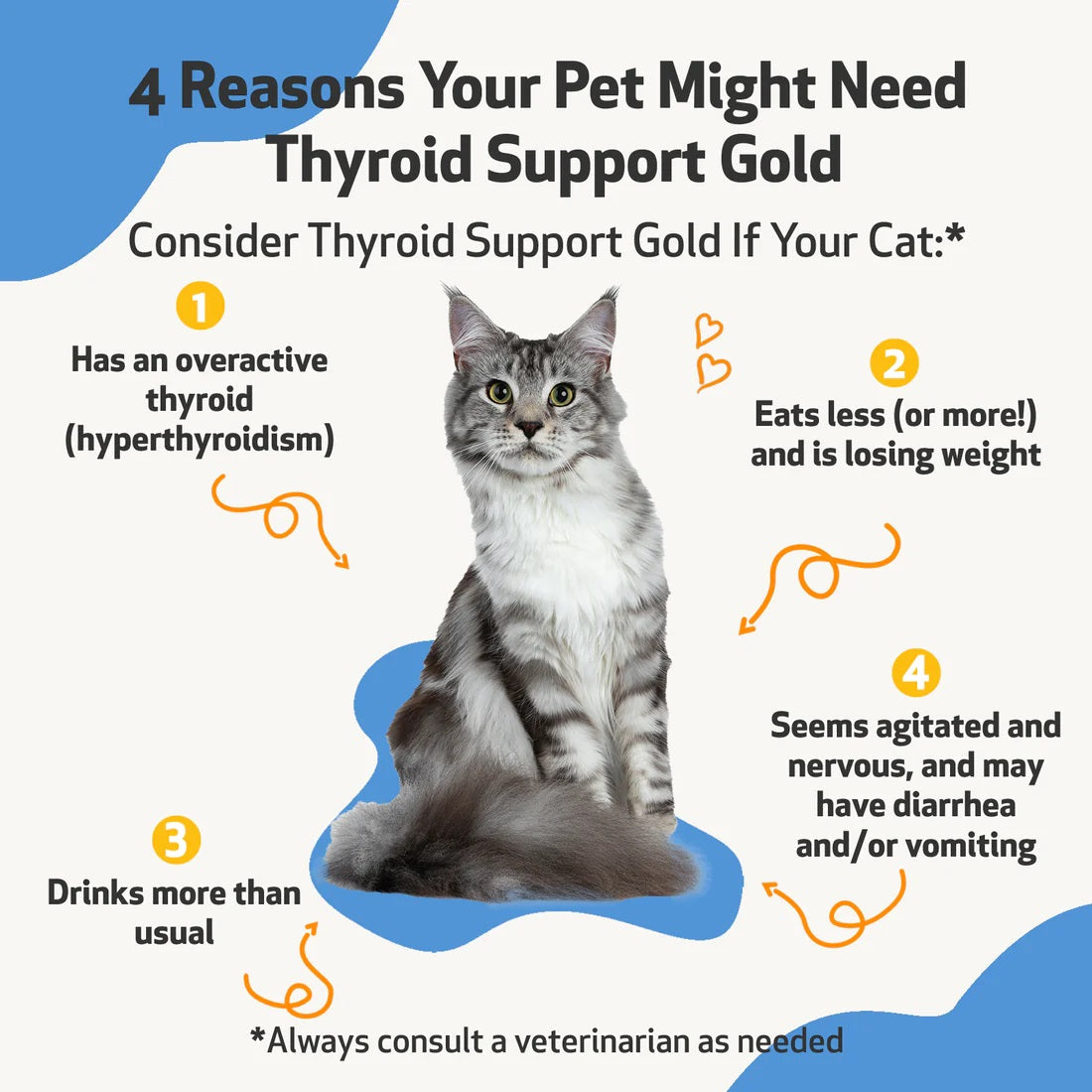 Pet Wellbeing - Thyroid Support Gold for Cats & Dogs - Trusted Care for Hyperthyroid