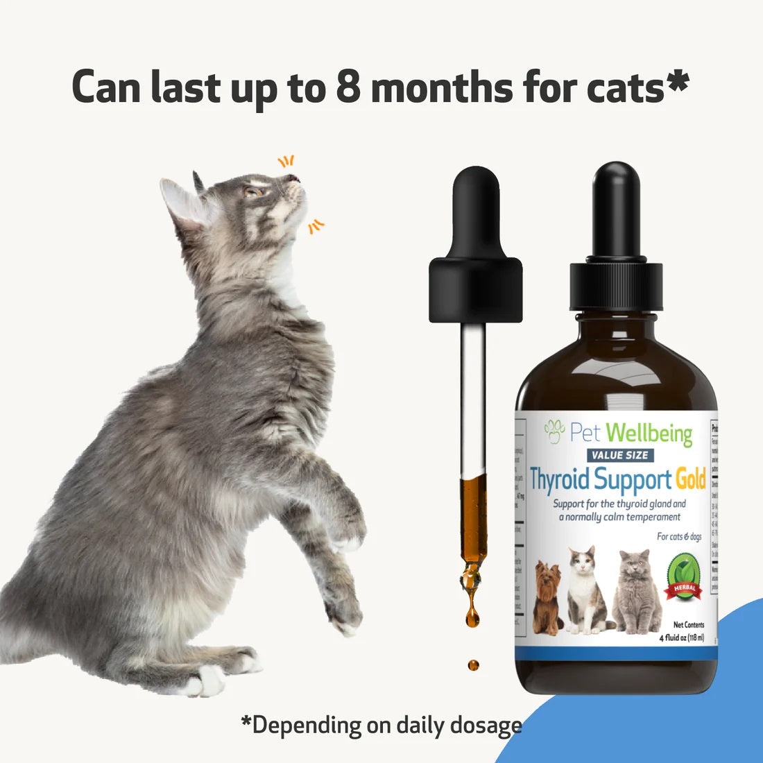 Pet Wellbeing - Thyroid Support Gold for Cats & Dogs - Trusted Care for Hyperthyroid