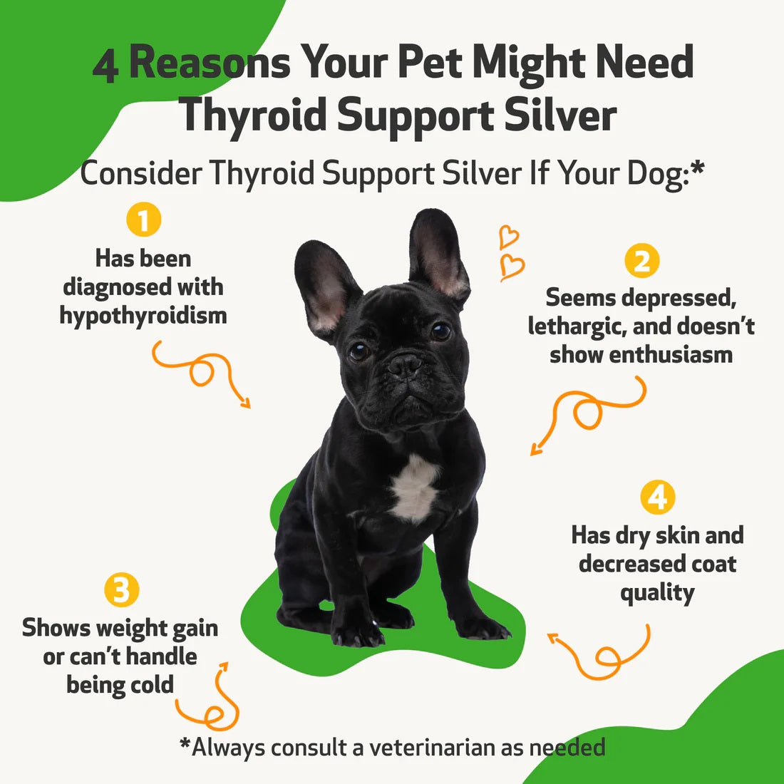 Pet Wellbeing - Thyroid Support Silver - for Low Thyroid in Cats & Dogs (2 oz / 59ml)