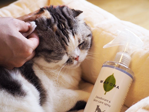 Wafona All-in-One Spray for Cats - cleans, moisturizes and sterilize with the power of 108 types of natural plant extracts, 52 types of plant enzymes and pure ionized water