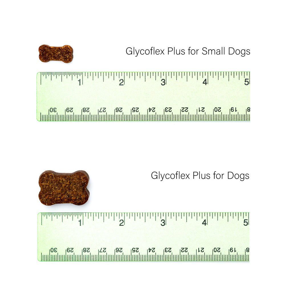 Vetriscience - GlycoFlex Plus Hip & Joint Supplement for Dogs (60 chews)