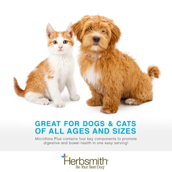 herbsmith-amazon-art-files-microflora-plus-dogs-cats-final-550x550