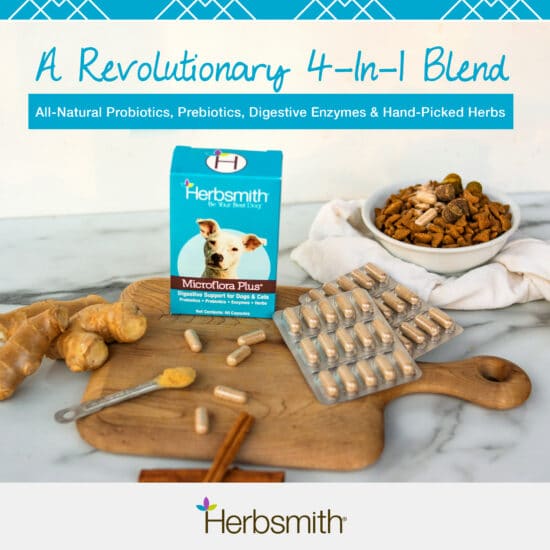 herbsmith-amazon-art-files-microflora-plus-final-update-late-2020-4-in-1-alt-550x550