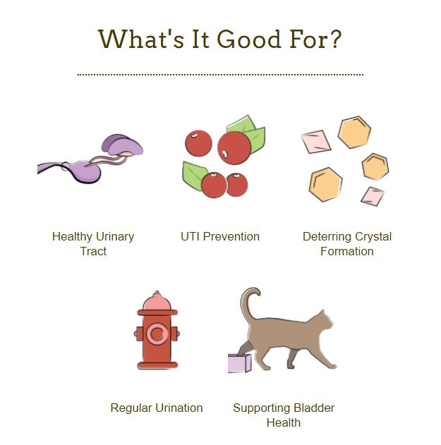 Herbsmith Bladder Care DOGS / Bladder Care KITTY - Bladder Support