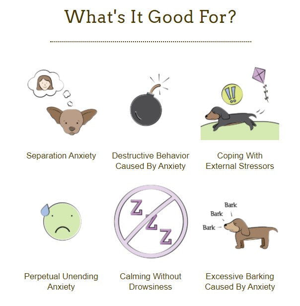 Herbsmith Calm Shen - Long-Term Calming Supplement for Dogs and Cats