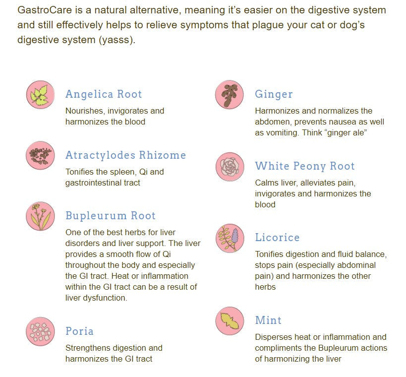 Herbsmith GastroCare - For Cats & Dogs with Sensitive Stomachs