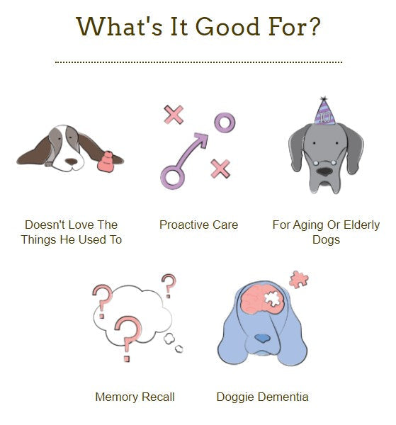 Herbsmith Senior Dog Wisdom - Cognitive Support for Dogs