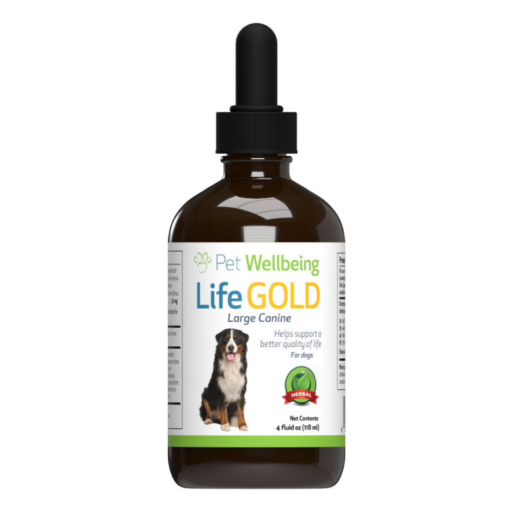 Pet Wellbeing - Life Gold - Trusted Care for Dog Cancer