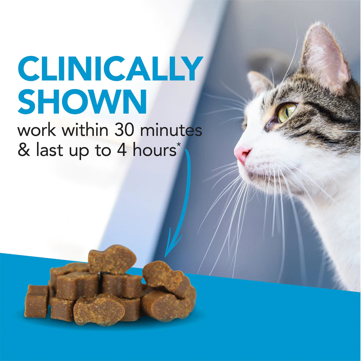 VetriScience® - Composure™ Calming Supplement for Cats (30 chews)