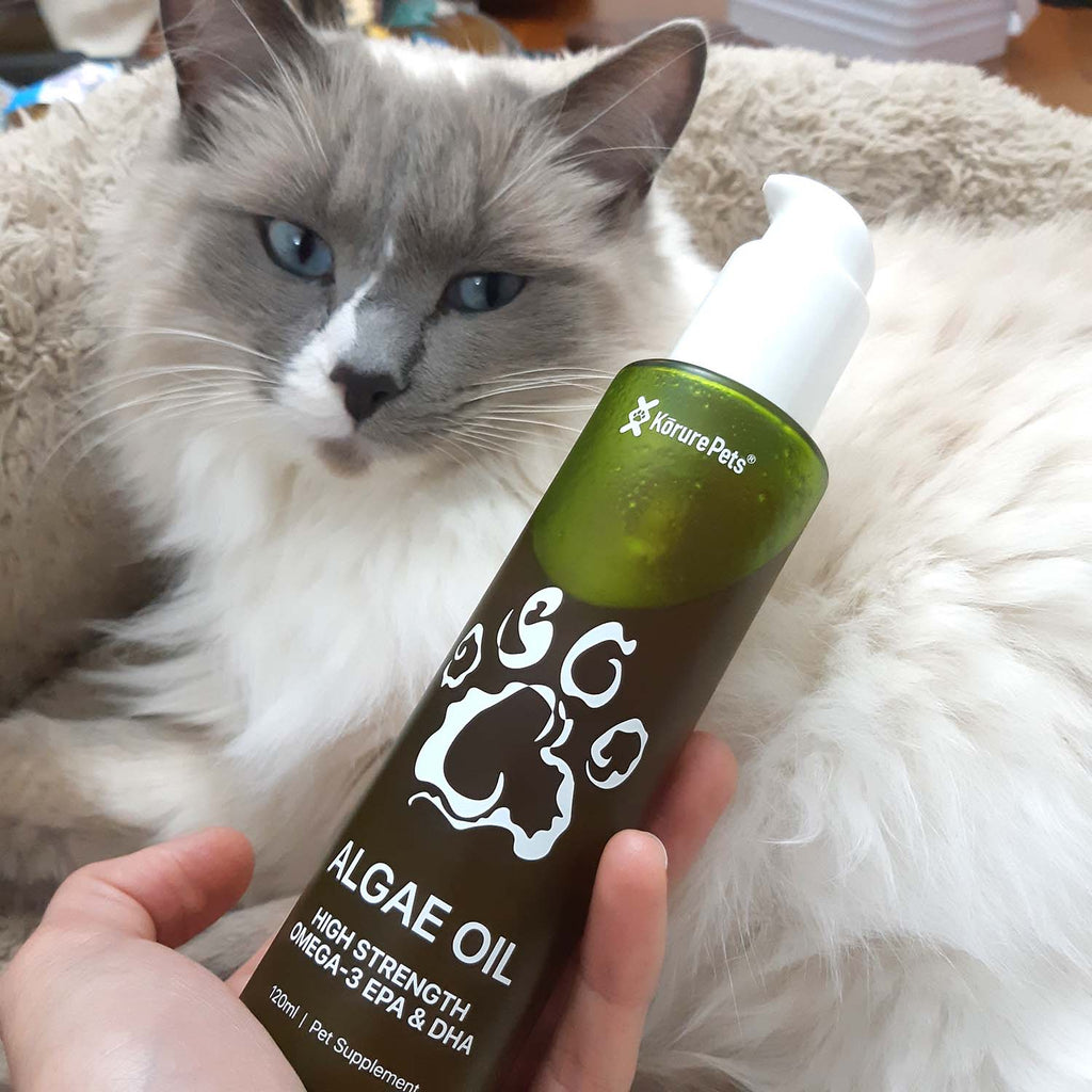 Kōrure Pets Algae Oil (Brain, Heart and Coat Health) - 50ml