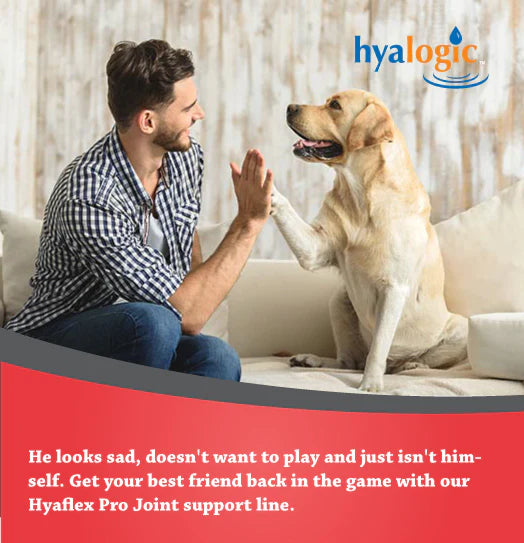 Hyalogic HyaFlex Pro Advanced Joint Care - Canine Hip, Joint, Cartilage and Connective Tissue Support (30 tablets)