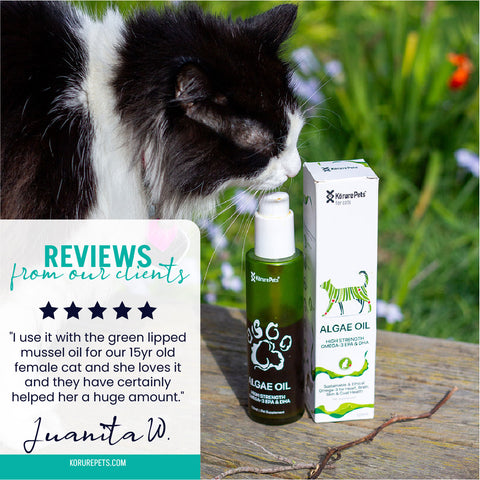 Kōrure Pets Algae Oil (Brain, Heart and Coat Health) - 50ml