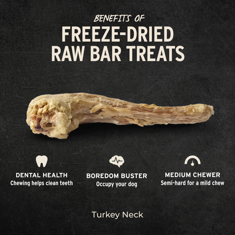Vital Essentials® RAW BAR Freeze-Dried Raw Turkey Neck Dog Treat, 1.2 oz