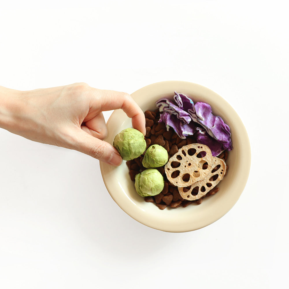 Arlo Kitchen - Veggie Chips 15g (Organic Lotus Roots)