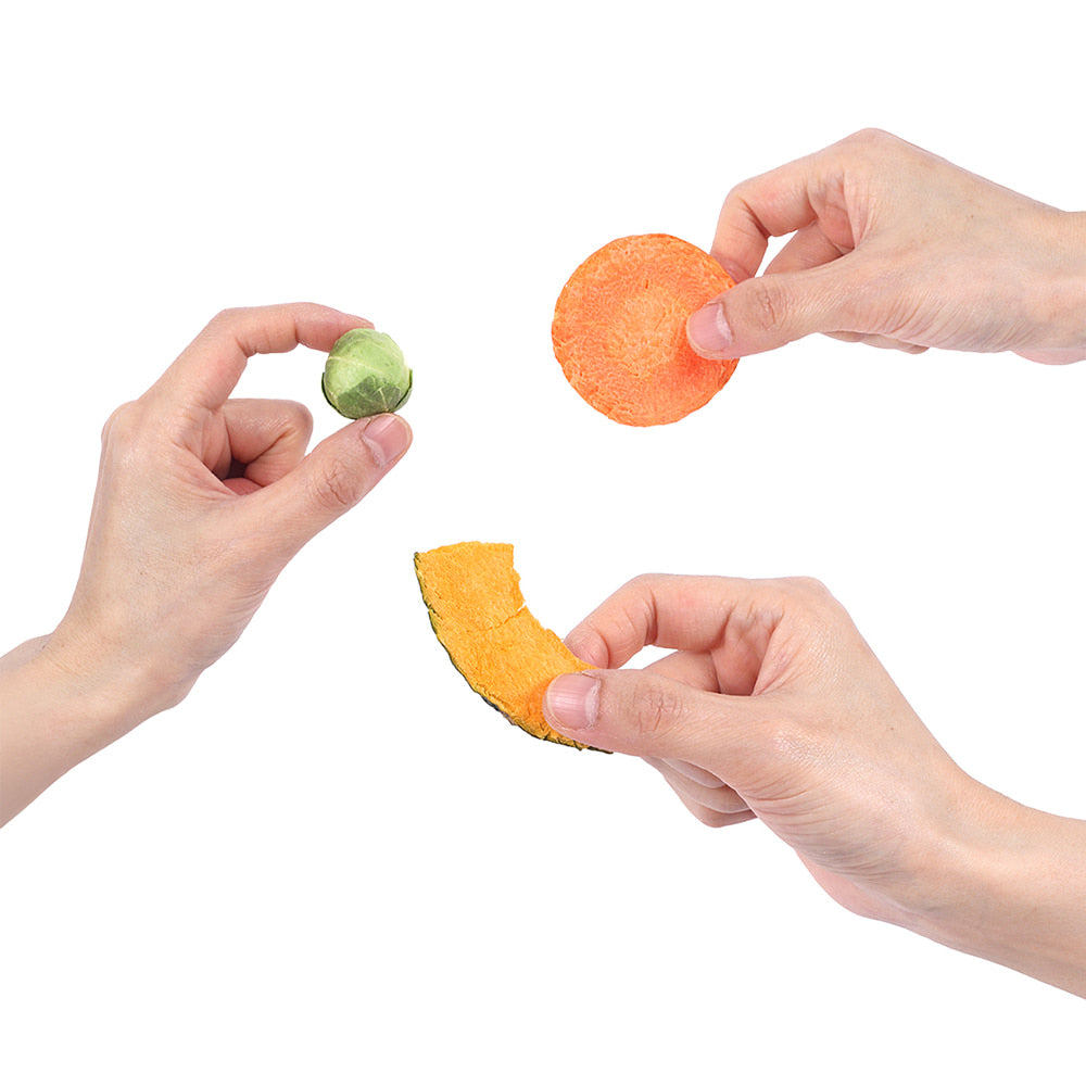 Arlo Kitchen - Veggie Chips 20g (Mini Cabbage, Pumpkin, Carrots)