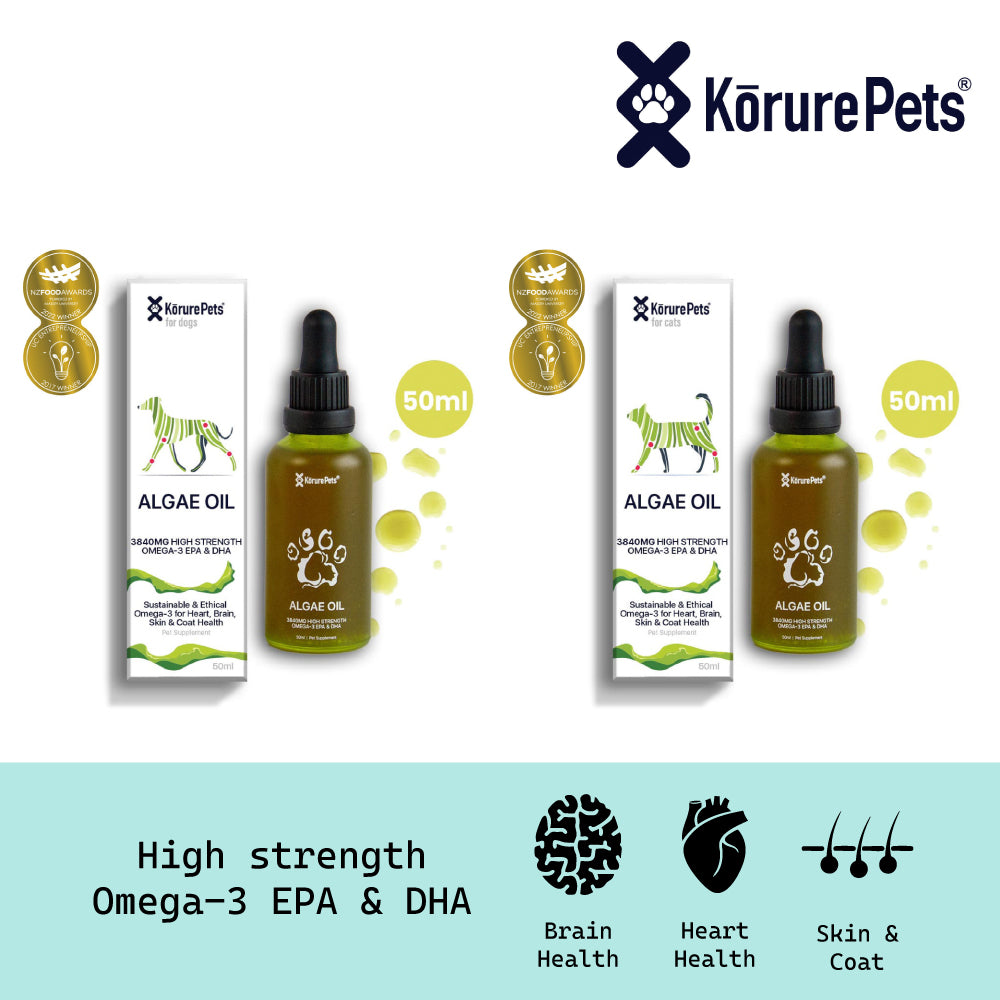 Kōrure Pets Algae Oil (Brain, Heart and Coat Health) - 50ml