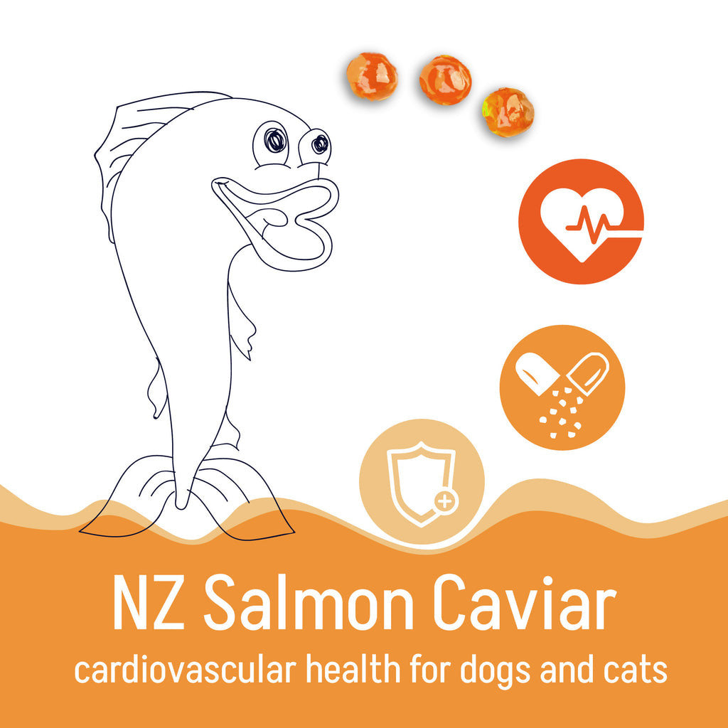 Kōrure Pets Cat Salmon Caviar - 35g Freeze Dried Whole Roe