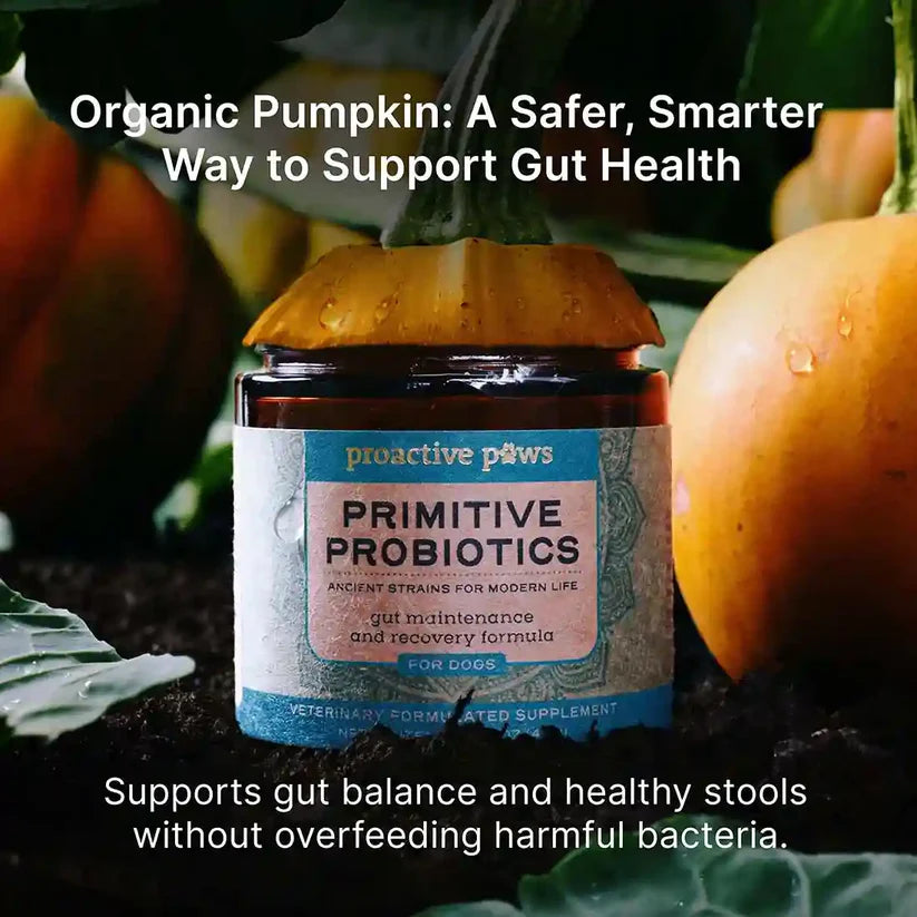 Proactive Paws - Primitive Probiotics 45g