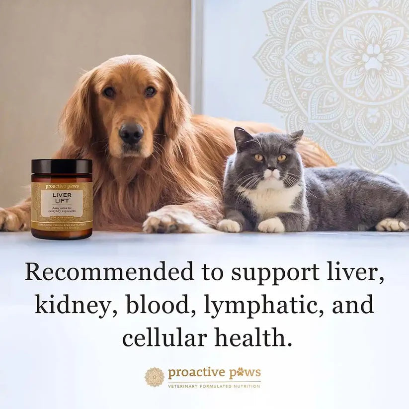 Proactive Paws - Proactive Paws - Liver Lift 45g