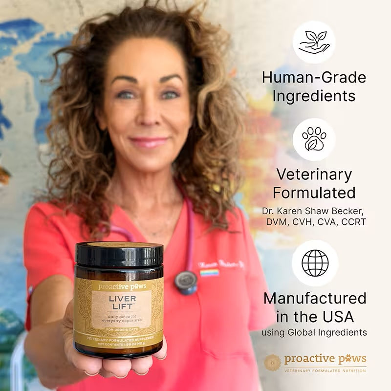 Proactive Paws - Proactive Paws - Liver Lift 45g