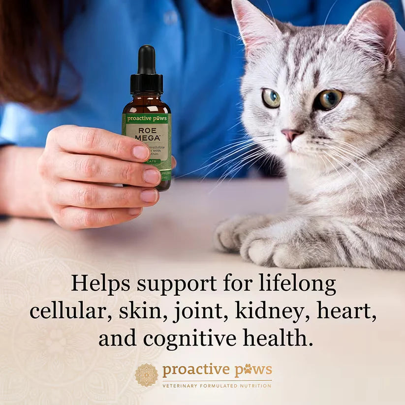 Proactive Paws - Roe Mega 30ml