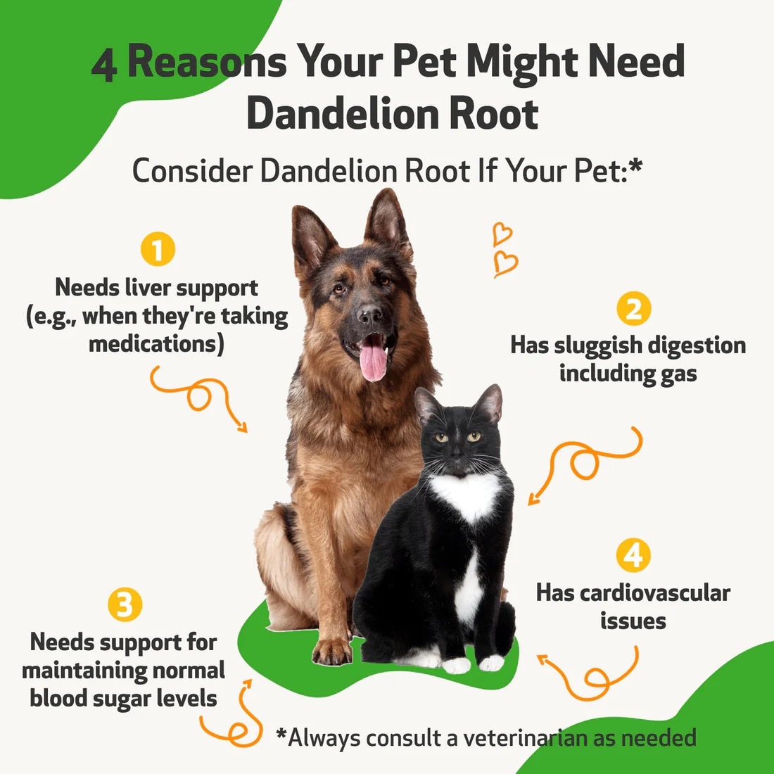 Pet Wellbeing - Dandelion Root - Digestive & Liver Support for Dogs