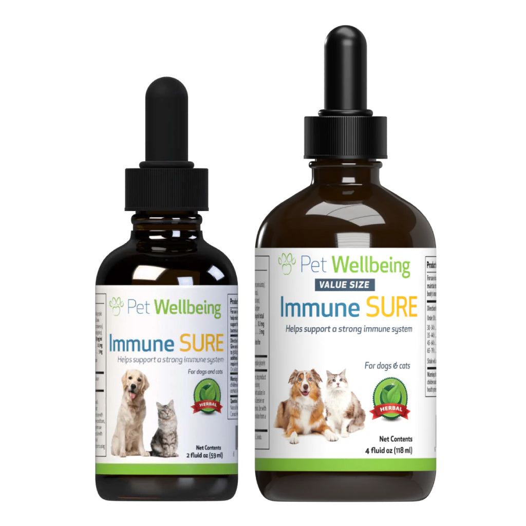 Pet Wellbeing - Immune SURE - for Feline & Canine Immune System Support