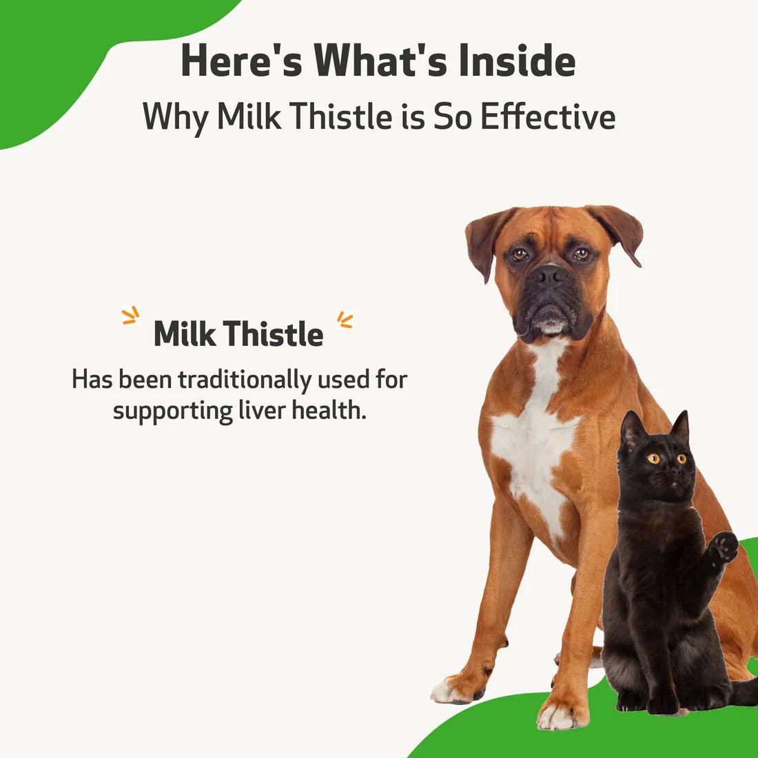 Pet Wellbeing - Milk Thistle - for Healthy Liver Function in Cats & Dogs
