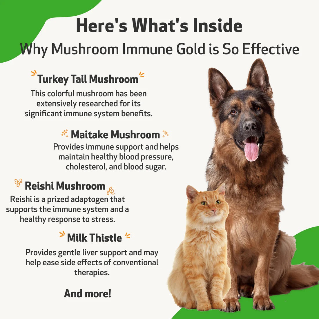 Pet Wellbeing - Mushroom Immune Gold - Holistic Canine Cancer Support (8fl oz / 236ml)