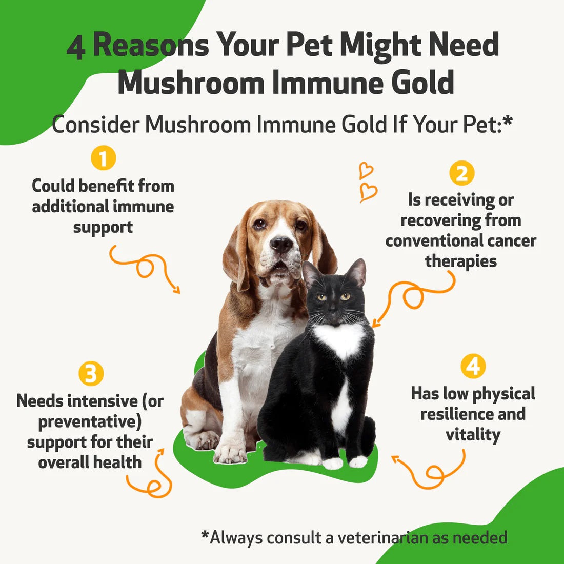 Pet Wellbeing - Mushroom Immune Gold - Holistic Canine Cancer Support (8fl oz / 236ml)