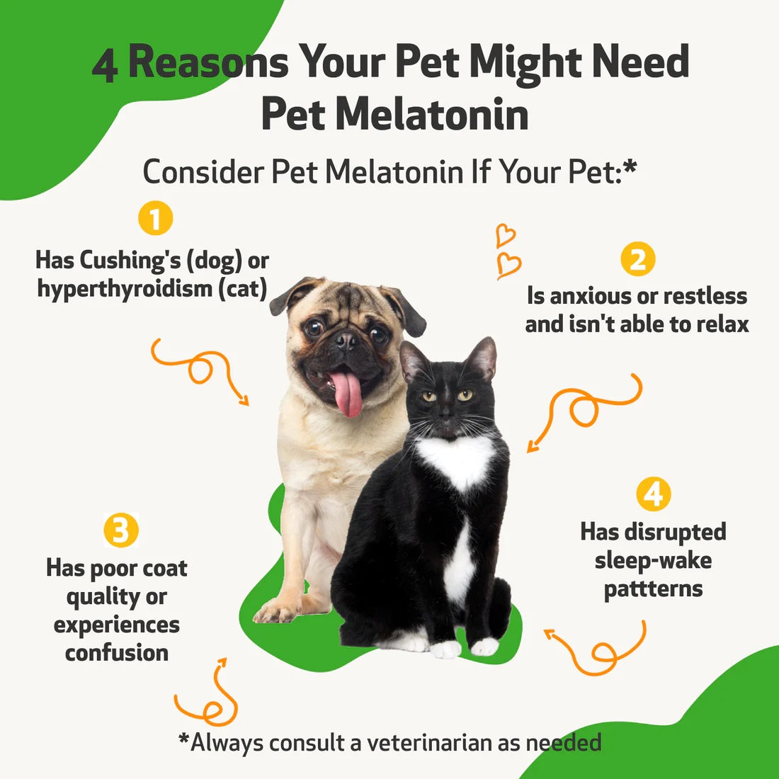 Pet Wellbeing - Pet Melatonin for Cats & Dogs - Support for dog Cushing's disease or anxiety