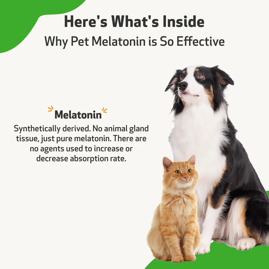 Pet Wellbeing - Pet Melatonin for Cats & Dogs - Support for dog Cushing's disease or anxiety