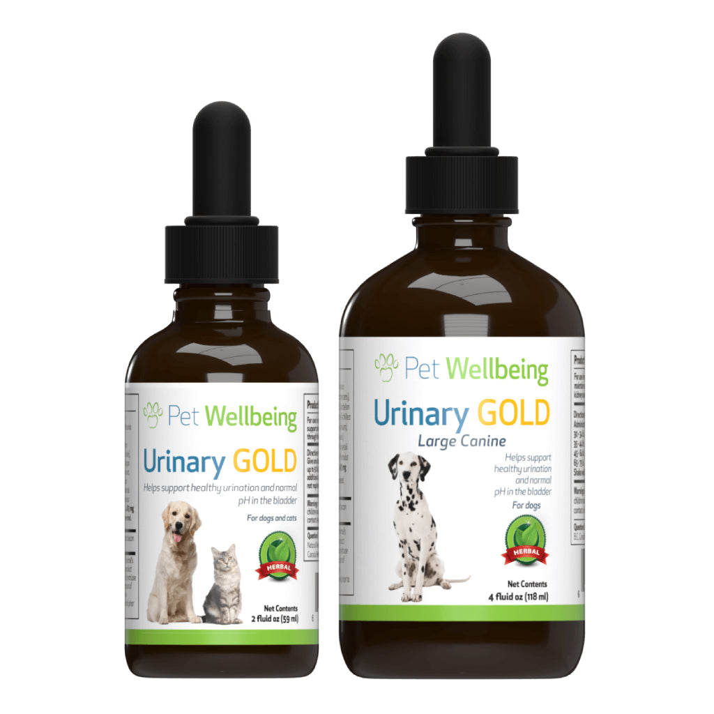 Pet Wellbeing - Urinary Gold - for Canine & Feline Urinary Tract Health