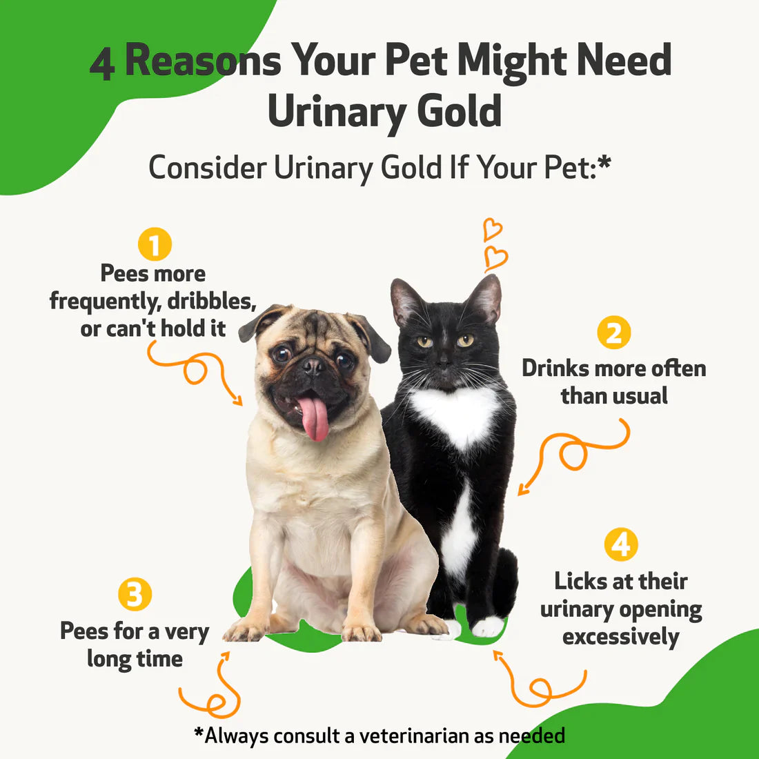 Pet Wellbeing - Urinary Gold - for Canine & Feline Urinary Tract Health