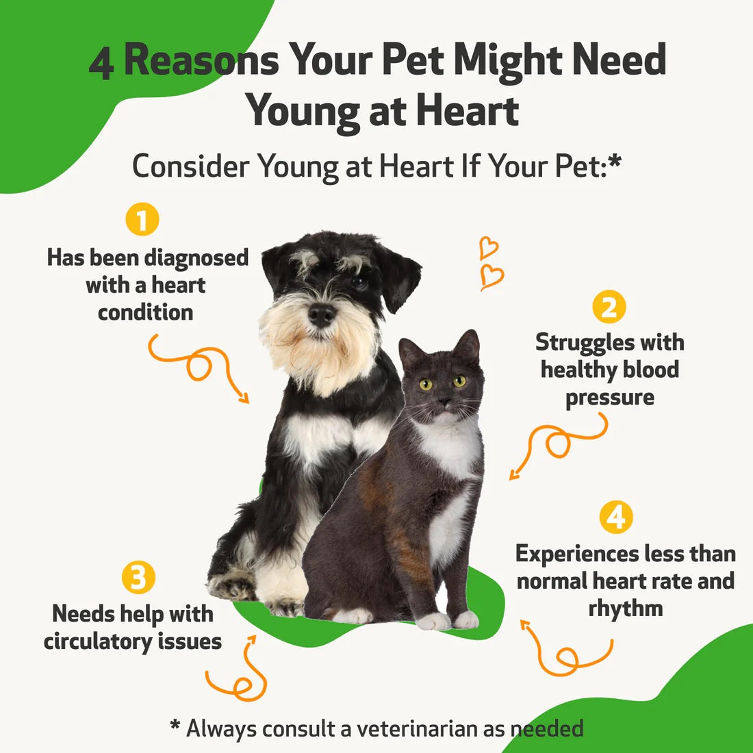 Pet Wellbeing - Young at Heart - for Healthy Heart Maintenance in Cats & Dogs
