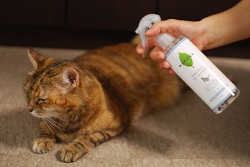 Wafona All-in-One Spray for Cats - cleans, moisturizes and sterilize with the power of 108 types of natural plant extracts, 52 types of plant enzymes and pure ionized water