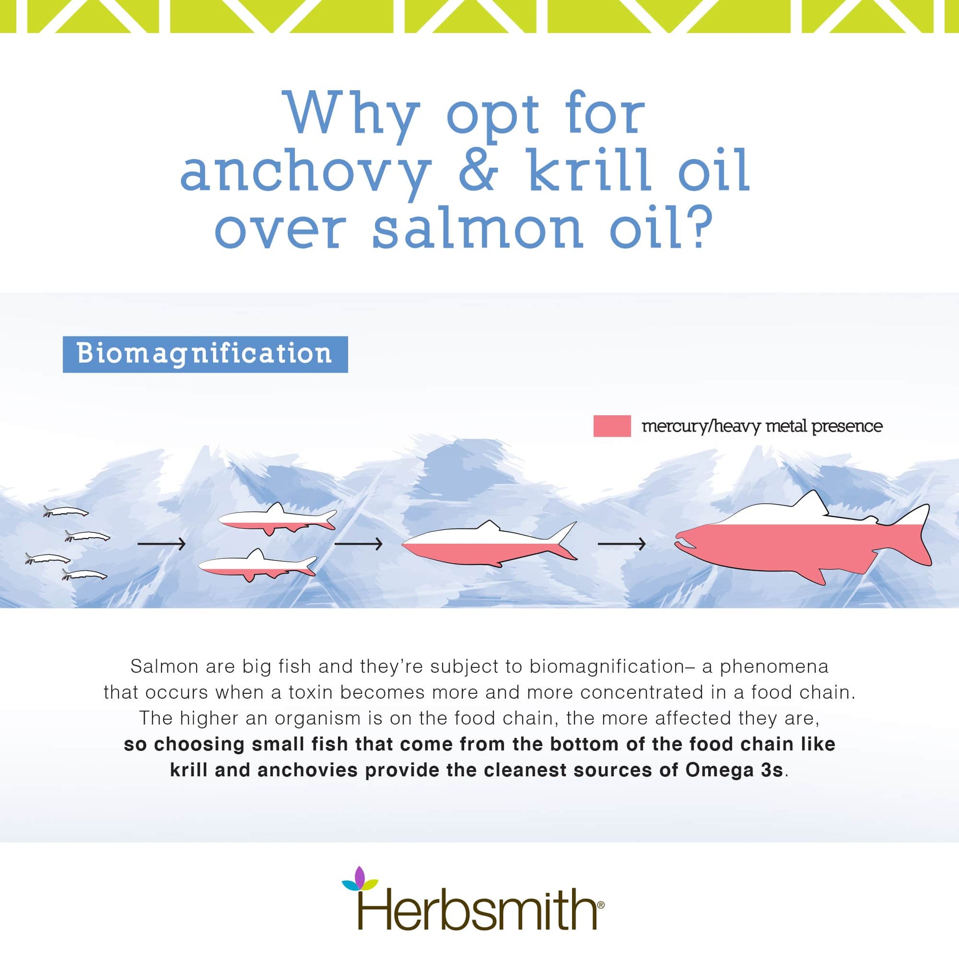 herbsmith-amazon-art-files-glimmer-final-anchovy-krill-salmon-comparison