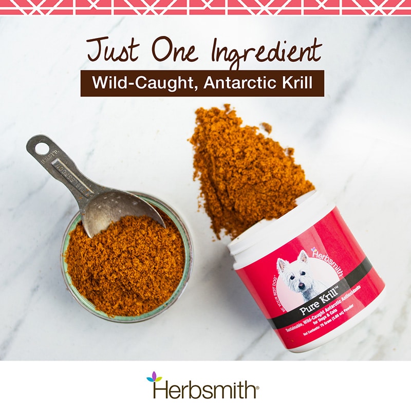 herbsmith-amazon-art-files-krill-one-ingredient-Final