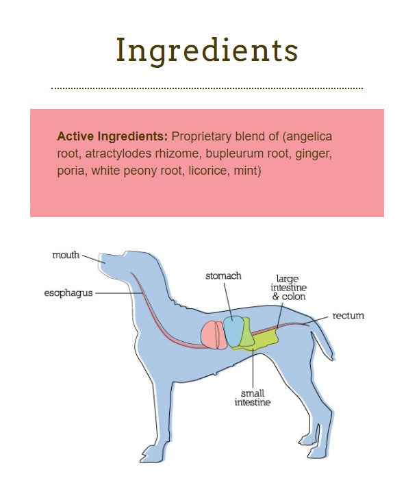 Herbsmith GastroCare - For Cats & Dogs with Sensitive Stomachs