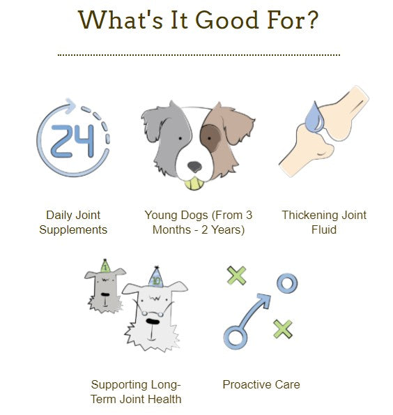 Herbsmith Young Dog Viscosity - Joint Support for Younger Dogs