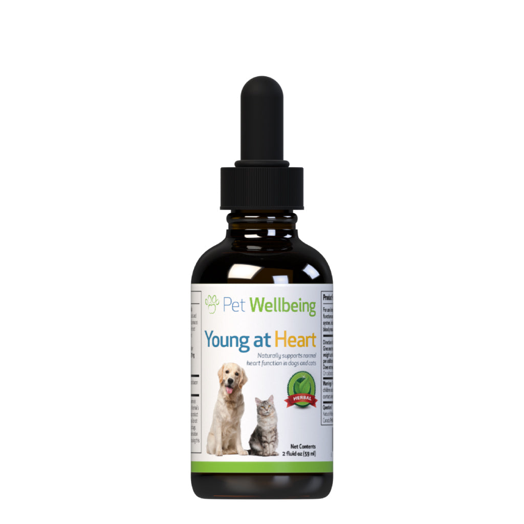 Pet Wellbeing - Young at Heart - for Healthy Heart Maintenance in Cats & Dogs