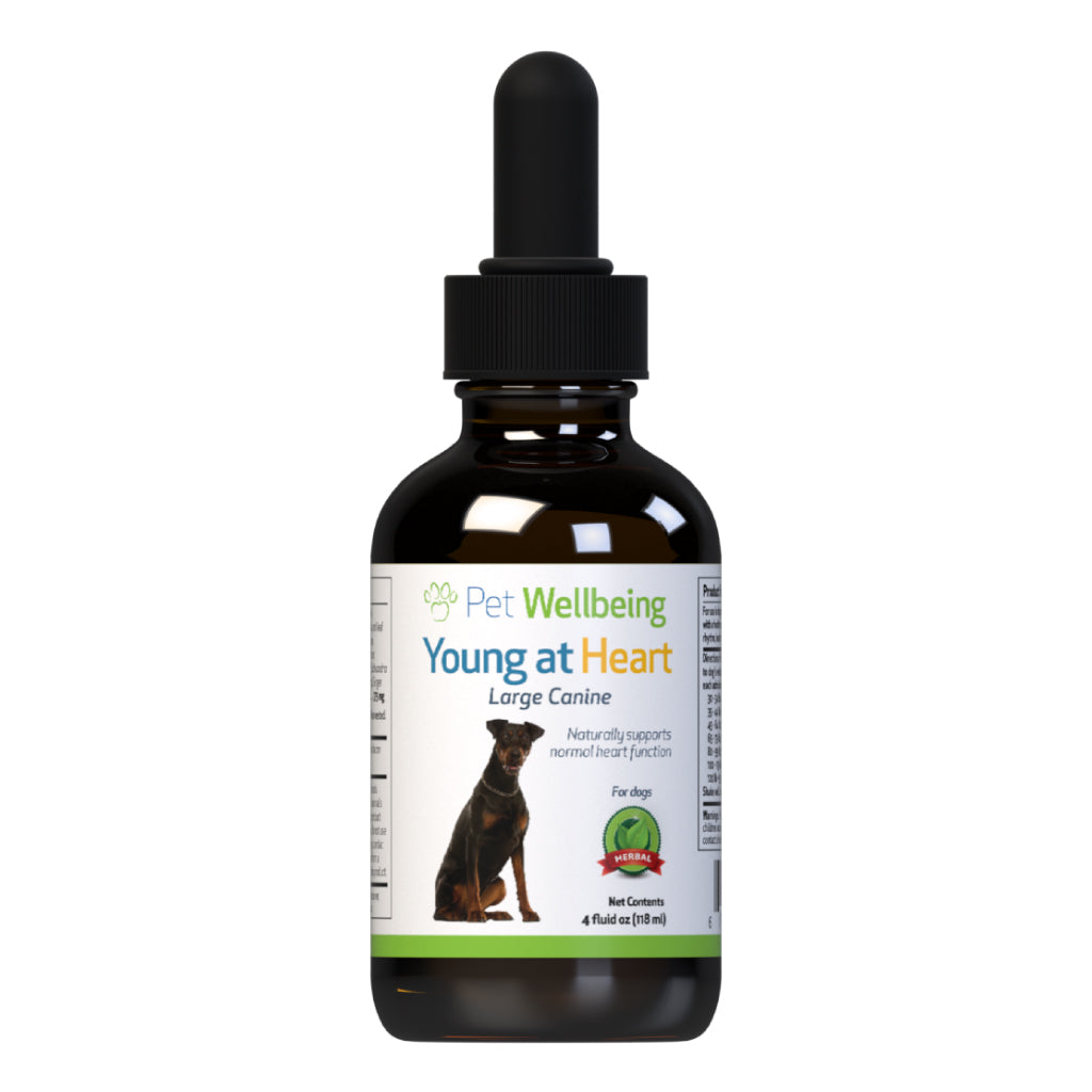 Pet Wellbeing - Young at Heart - for Healthy Heart Maintenance in Cats & Dogs