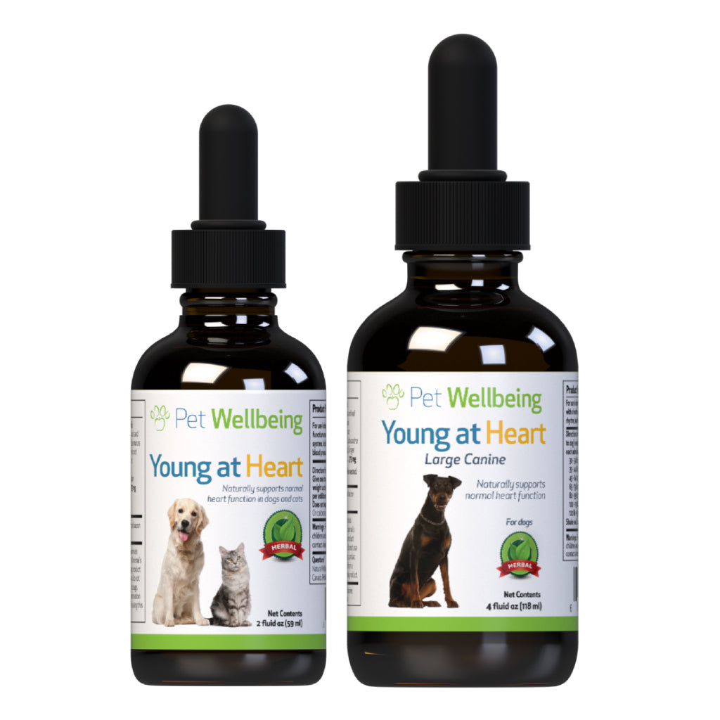 Pet Wellbeing - Young at Heart - for Healthy Heart Maintenance in Cats & Dogs